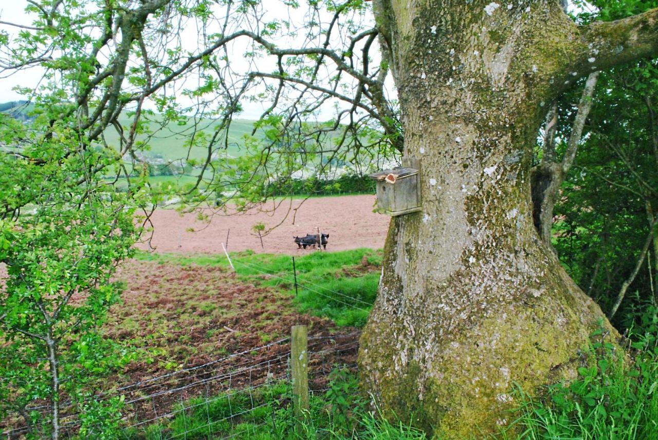 Eco Cottage Joe The Buck Craven Arms Zewnętrze zdjęcie